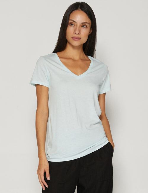 Favorite V-Neck T-Shirt