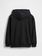 JPN IE FASH LOGO HOOD