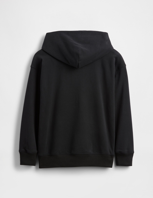 JPN IE FASH LOGO HOOD