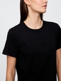 Favorite Crewneck T-Shirt