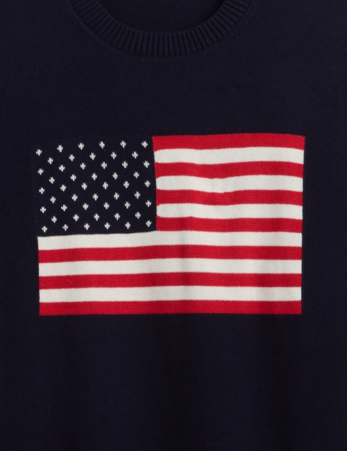 V-FLAG SWEATER