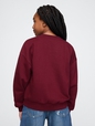 Kids Vintage Soft Sweatshirt