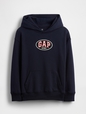 JPN IE FASH LOGO HOOD