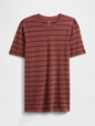 V-EVERYDAY SOFT CREW - STRIPE