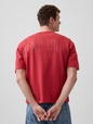 Heavyweight Relaxed 1969 Logo Crop T-shirt