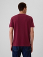Everyday Soft Gap Graphic T-Shirt