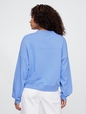 Vintage Soft French Terry Wedge V-Neck Sweatshirt
