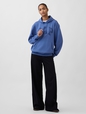 Adult VintageSoft Arch Logo Hoodie