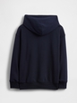 JPN IE FASH LOGO HOOD