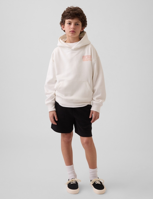FSH GRAPHIC PO HOOD