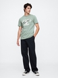 Everyday Soft Gap Graphic T-Shirt
