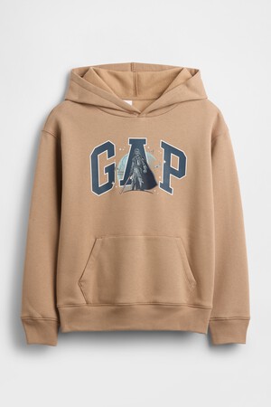 V-SW HOL LIC LOGO PO