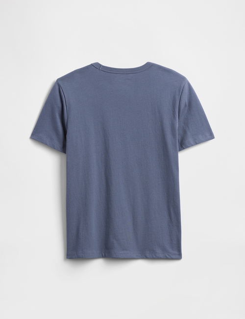 V-DIS FAM FALL LOGO TEE