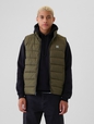 ColdControl Puffer Vest