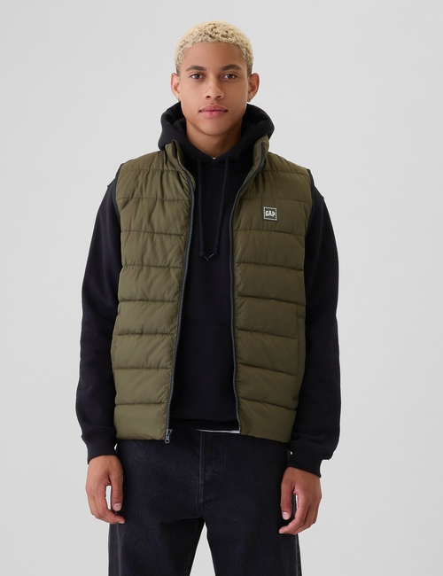 ColdControl Puffer Vest