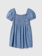 babyGap Smocked Denim Dress