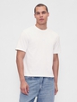 SS WORLD STANDARD CROPPED LOGO T