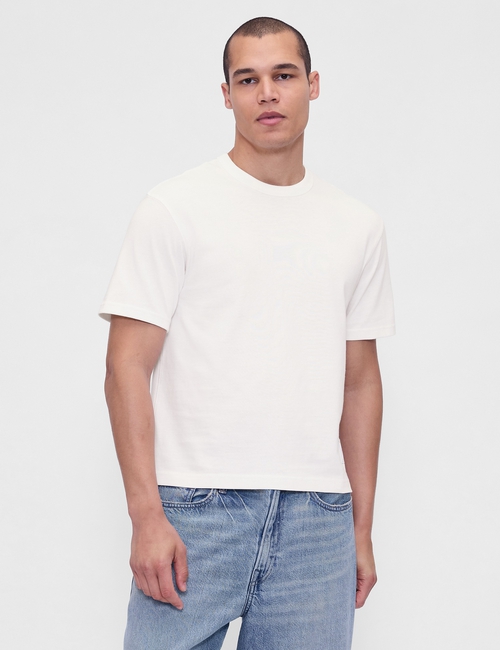 SS WORLD STANDARD CROPPED LOGO T