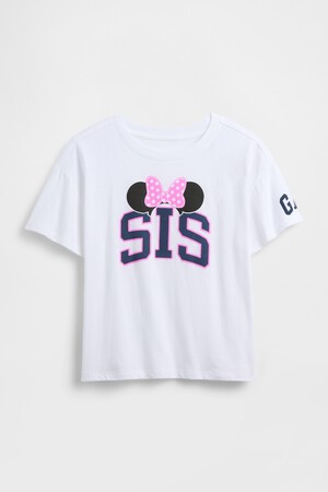 V-DISLOGO SS SIS LIC GR
