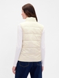 ColdControl Puffer Vest