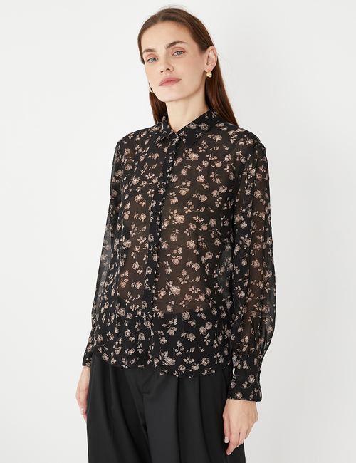 Sheer Shirt