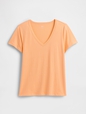 Favorite V-Neck T-Shirt