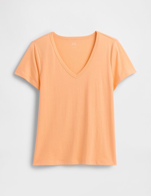 Favorite V-Neck T-Shirt