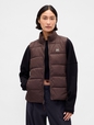 ColdControl Puffer Vest