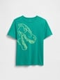 Kids Graphic T-Shirt