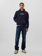 Gap Arch Logo Hoodie