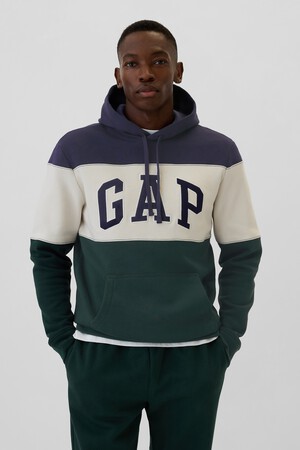 Gap Logo Colorblock Hoodie