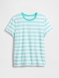 Favorite Stripe Crewneck T-Shirt