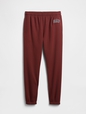 V-HERITAGE LOGO JOGGER SNL