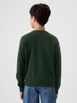 Kids Gap Logo Intarsia Sweater