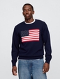 V-FLAG SWEATER