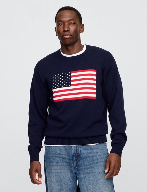 V-FLAG SWEATER