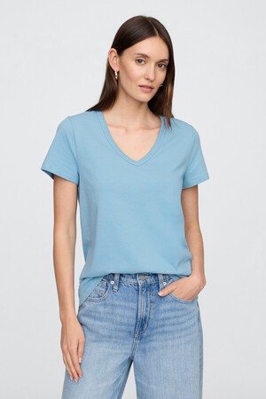 Favorite V-Neck T-Shirt