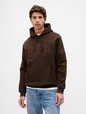 Adult VintageSoft Arch Logo Hoodie