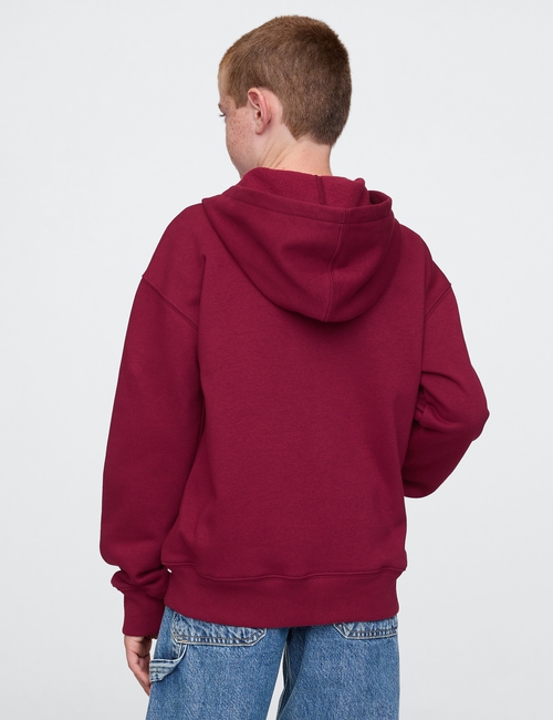 V-FRCH FLEECE HERITAGE LOGO FZ HOOD