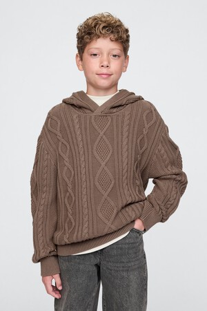 CABLE PO HOOD
