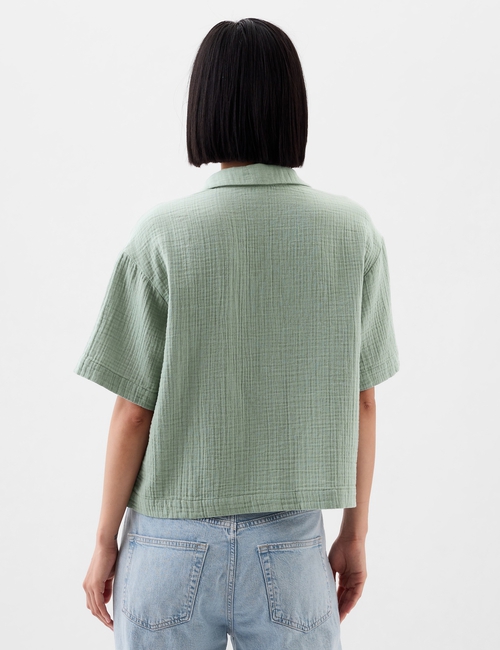 V-SS POPOVER T