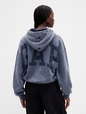 VintageSoft Crop Logo Hoodie