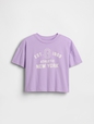 JPN IE SS LOGO CROPPED