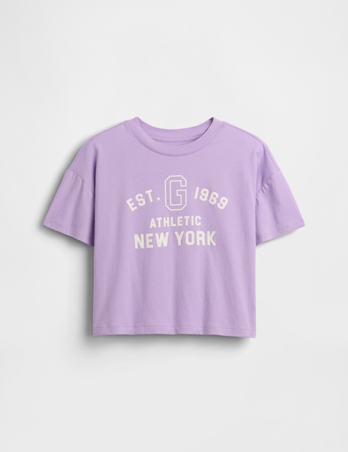 JPN IE SS LOGO CROPPED