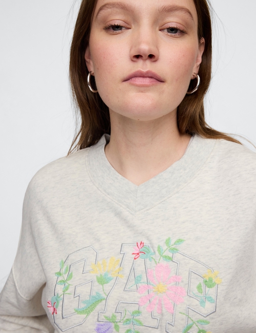 Vintage Soft French Terry Wedge V-Neck Sweatshirt