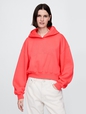 VintageSoft Cropped Logo Hoodie