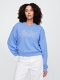 Vintage Soft French Terry Wedge V-Neck Sweatshirt
