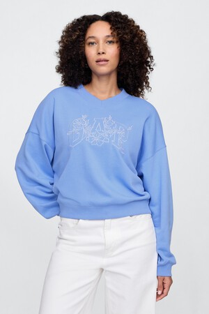 Vintage Soft French Terry Wedge V-Neck Sweatshirt