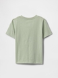 babyGap Graphic T-Shirt
