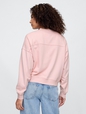 Vintage Soft French Terry Wedge V-Neck Sweatshirt